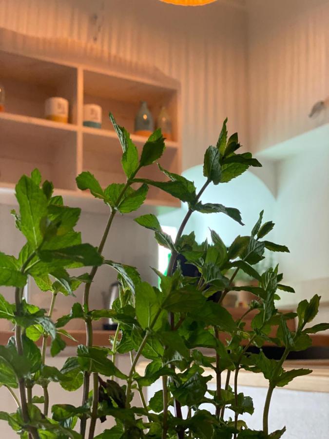 A Casa Del Console Apartment Манфредония Екстериор снимка