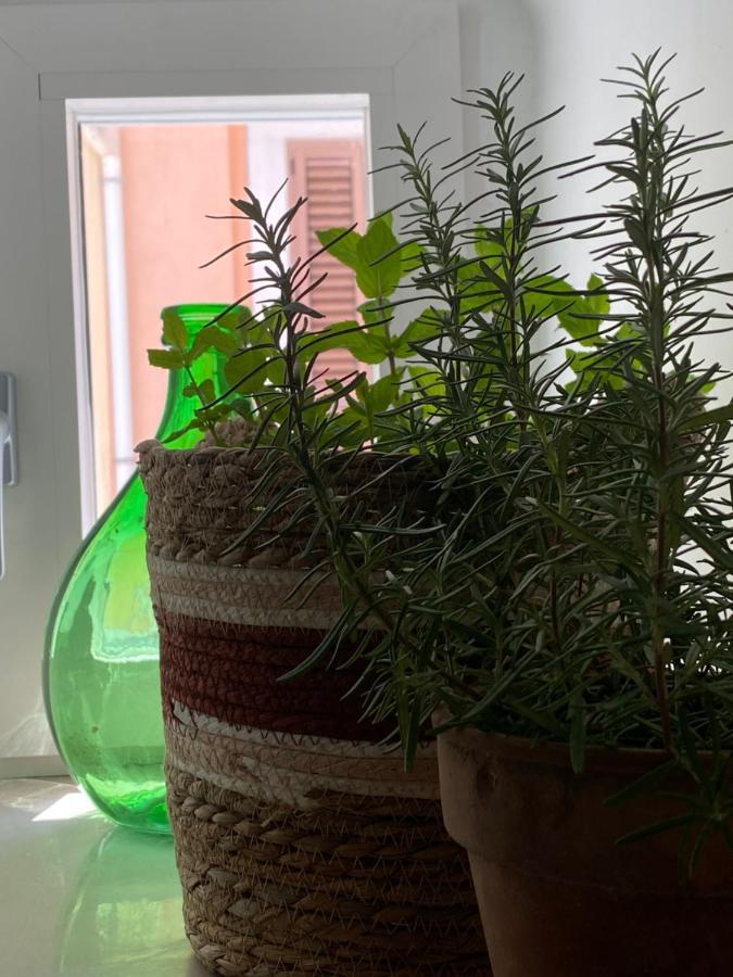 A Casa Del Console Apartment Манфредония Екстериор снимка